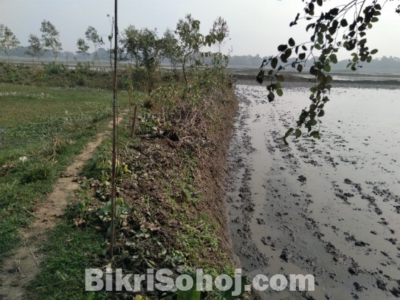 মৎস্য পুকুর ভাড়া দেয়া হবে